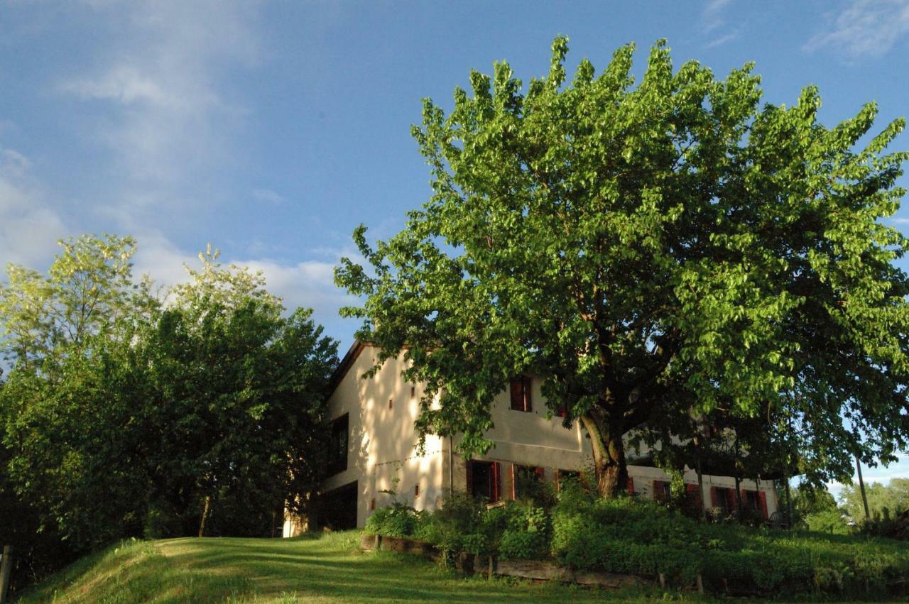 Ca Borgh Villa Santa Maria di Feletto Luaran gambar
